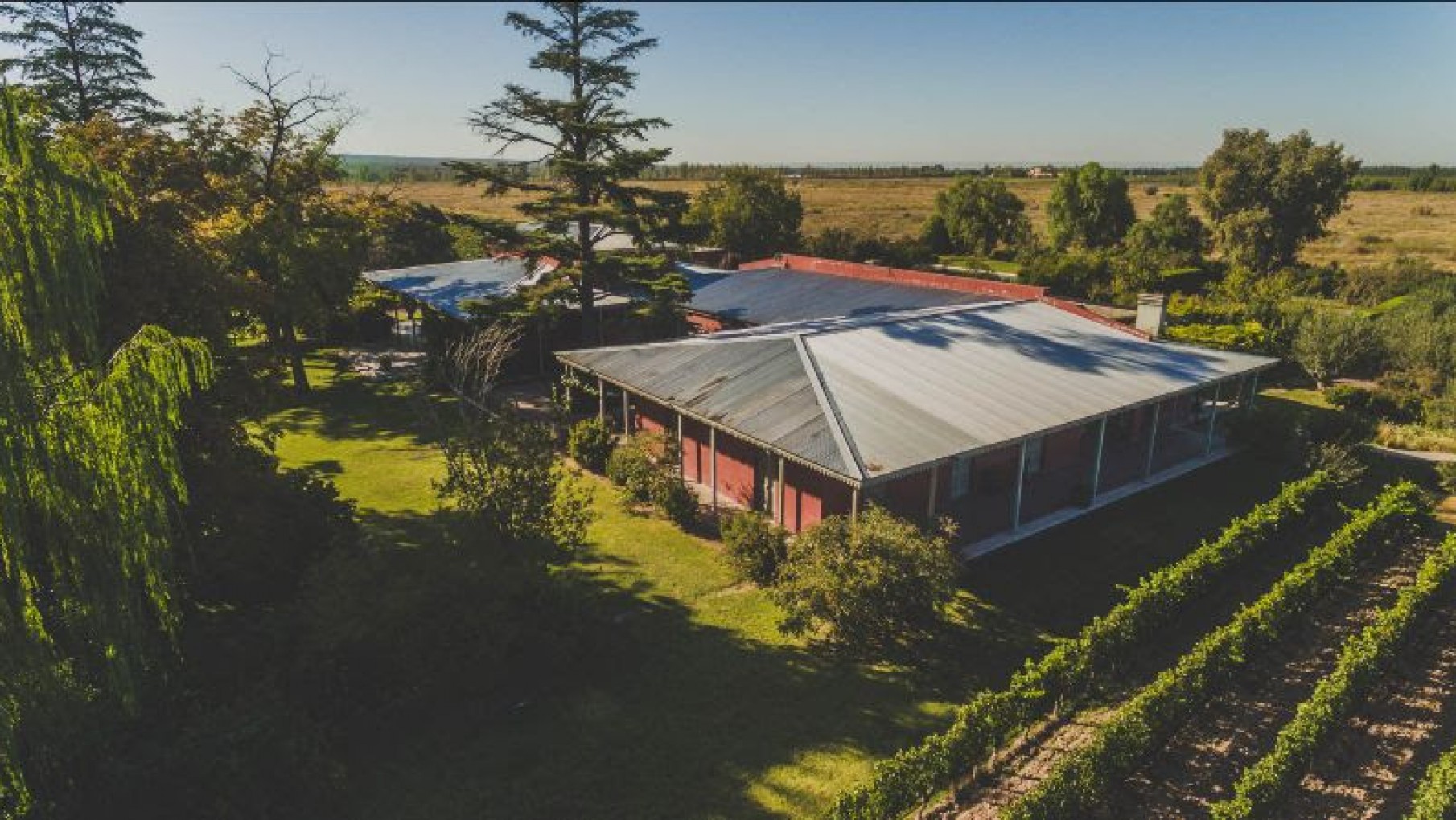 Monte Quieto Bodega de Familia, celebra el Día del Cabernet Franc con tres ejemplares fuera de serie